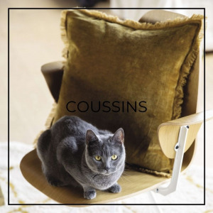 Coussins pour un intérieur douillet